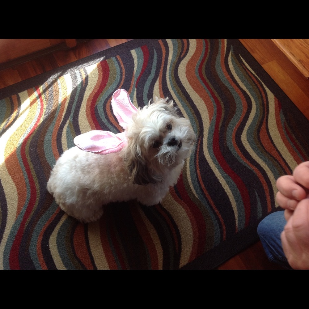 Meet your Posher, Diana